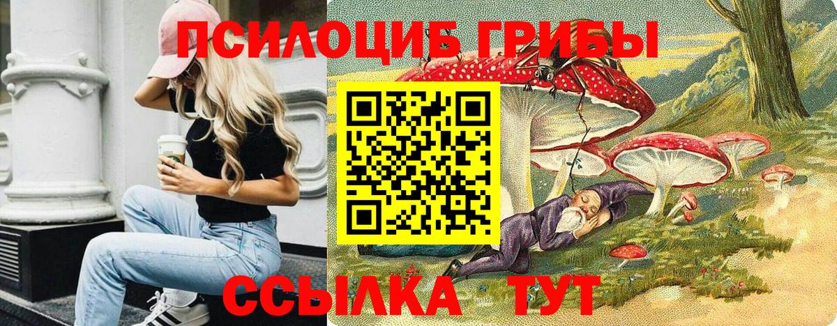 Псилоцибиновые грибы прущие грибы  Вход с VPN  Сафоново 
