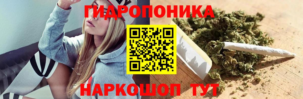 Конопля индика Сафоново